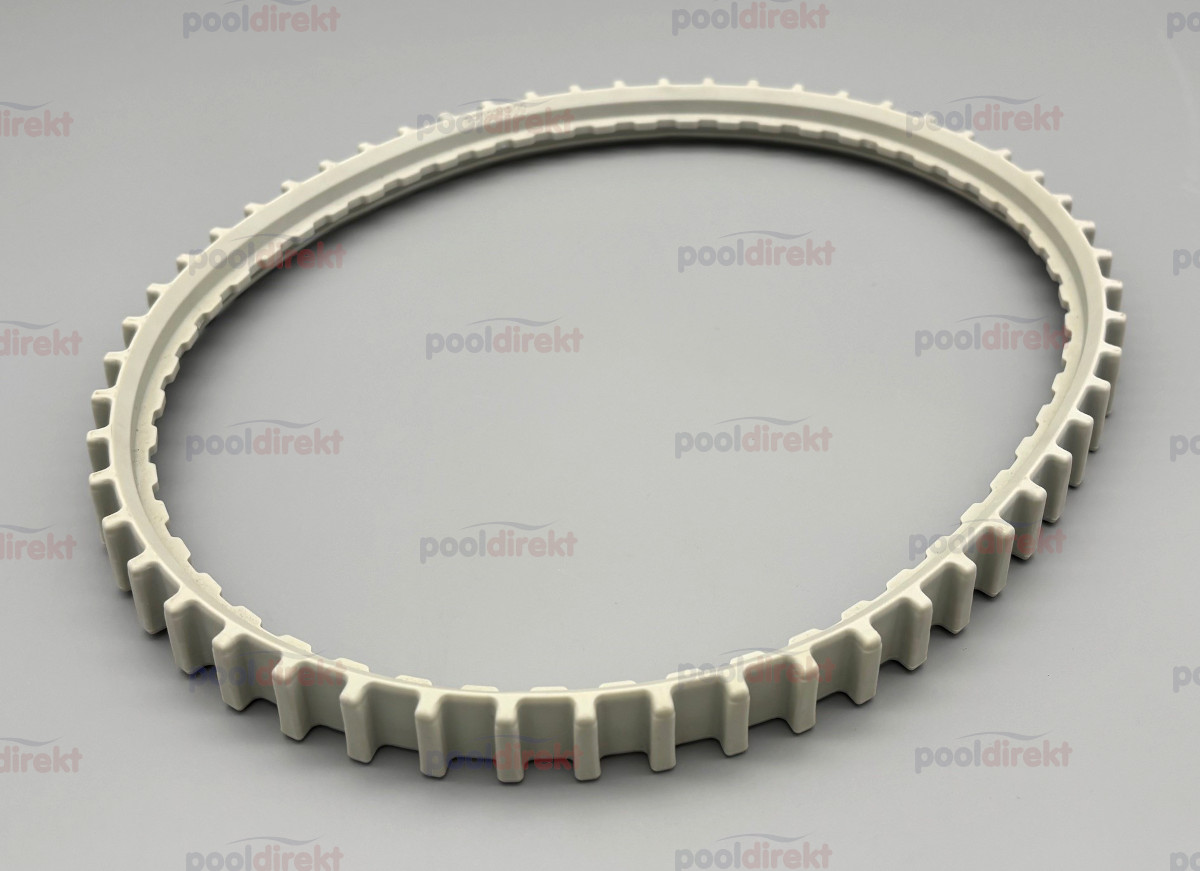 Laufraupe zu Poolroboter BWT